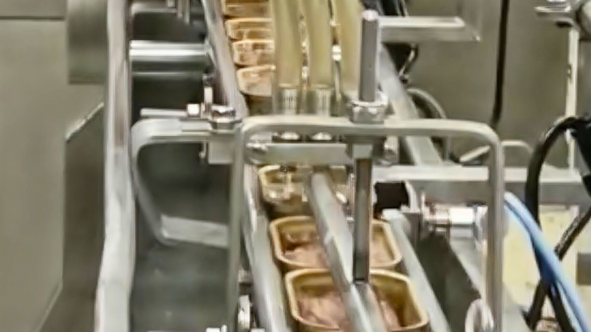 Dosificadora rotativa de precisión llenando latas de conserva de anchoa sin rebose en línea industrial